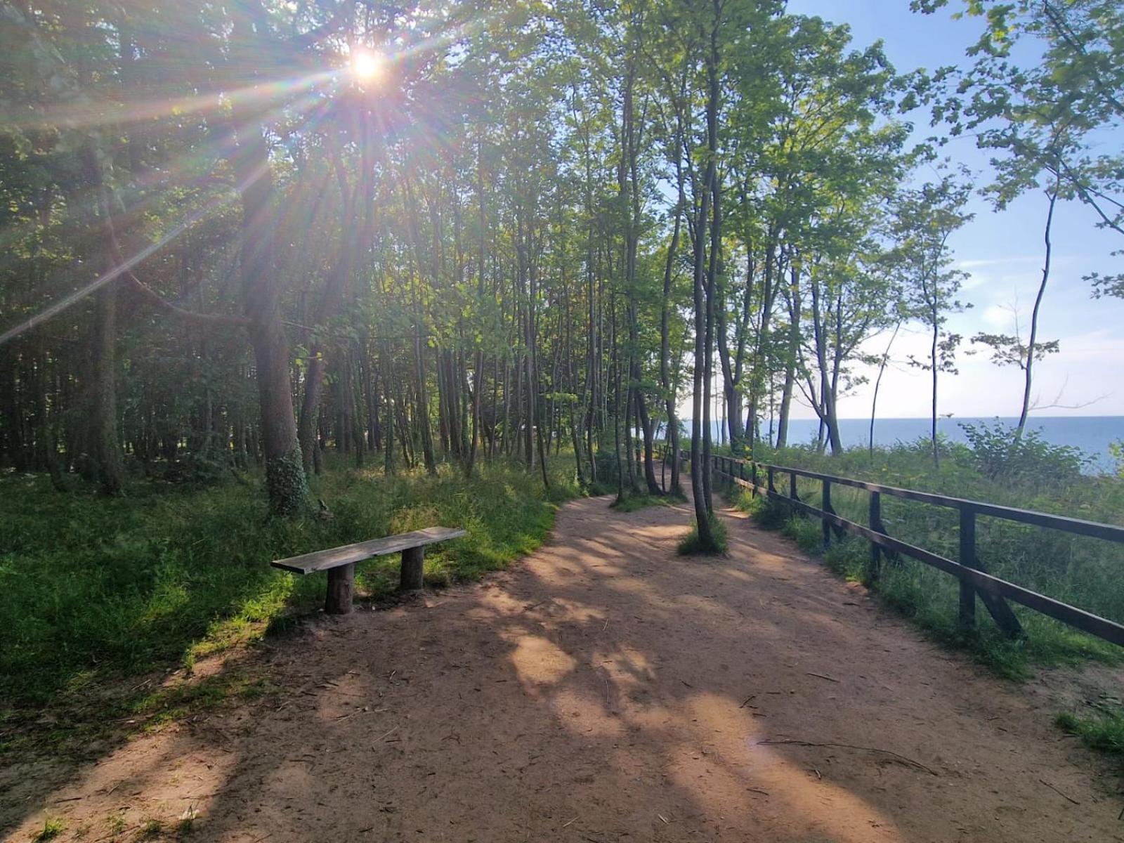 Osrodek Promenada- Faleza Jastrzebia Gora Exterior photo